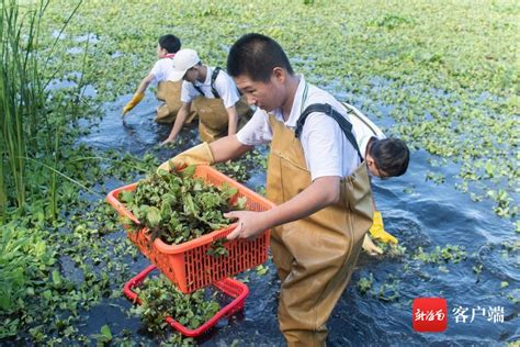 海口秀英区组织志愿者和学生参与辖区水域“六水共治”整治行动_海口网