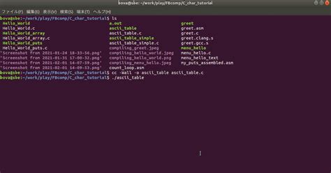 Image result for ASCII Table C Programming