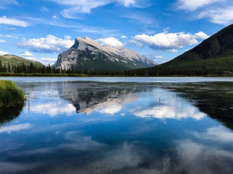 Mobile Phone Photography Ideas 的图像结果