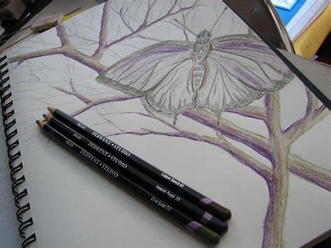 tutorial pencil drawing of flowers