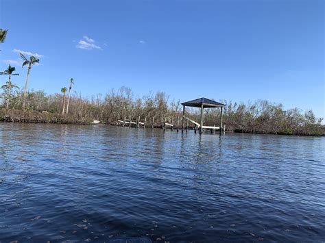 Paddling around Pine Island, FL yesterday - 8 weeks post-Hurricane : r ...