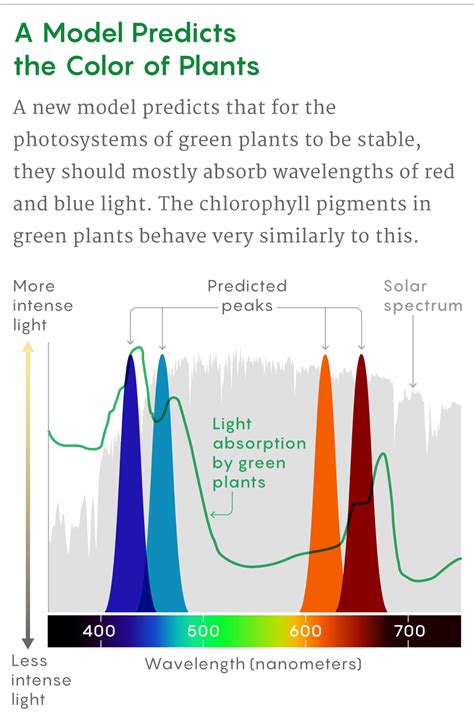 Why Are Plants Green? To Reduce the Noise in Photosynthesis. | Quanta ...
