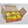 TENNEX Premier Cricket Soft Tennis Ball for Under Arm Cricket | Light ...