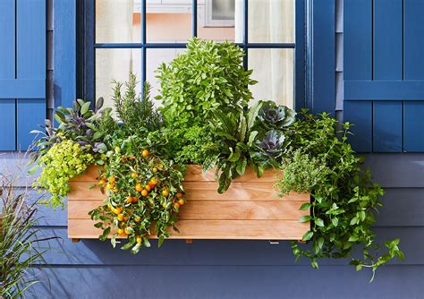 This Window Box Plan Will Supply You with Fresh Veggies and Herbs This ...