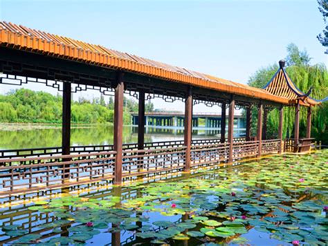 潍坊人民公园河道绿化-湿地河道绿化-淄博奥景园艺有限公司