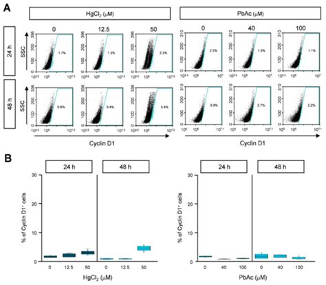 Mercury Chloride but Not Lead Acetate Causes Apoptotic Cell Death in ...