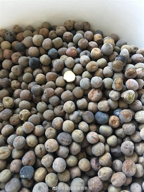 不是去兰州的时候特别喜欢吃那个灰豆子嘛，也叫麻豌豆|麻豌豆|豆子|色儿_新浪新闻