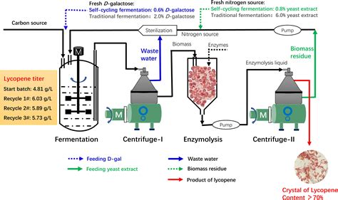 Image result for Continuous Fermentation