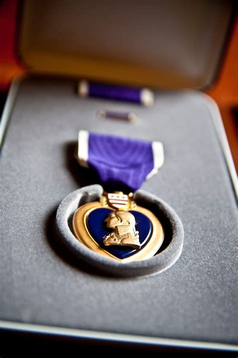 Dogface Soldier and Purple Heart recipient reflects on service ...