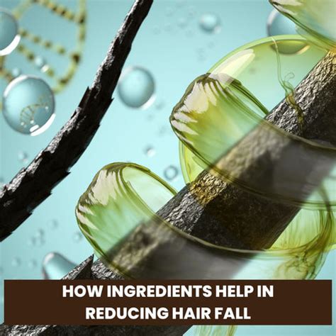 Top 5 Anti Hair Fall Shampoos for Women | Clinikally