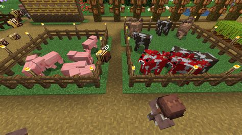 Image result for D Round Farm Minecraft Java 1.17