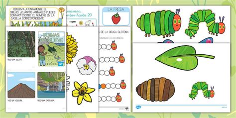 Pack de recursos: Primavera (teacher made) - Twinkl