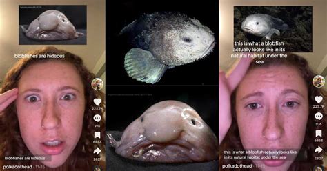 Image result for Bagging Method Machine Learning