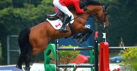 2025 FEI Equestrian Longines League of Nations - Abu Dhabi, United Arab ...