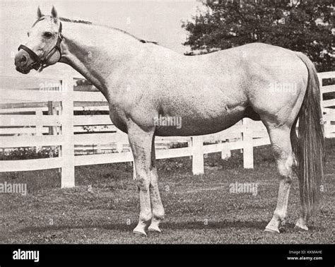 Racehorse stables hi-res stock photography and images - Alamy