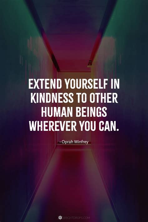 Compassion War Quotes