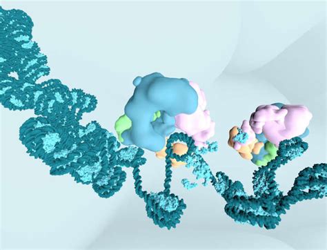 Image result for Extracts BAF