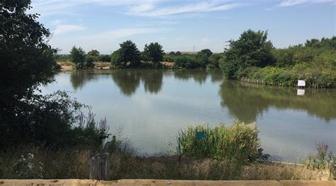 ROOM IN ESSEX (Basildon) - Lodging Reviews & Photos - Tripadvisor