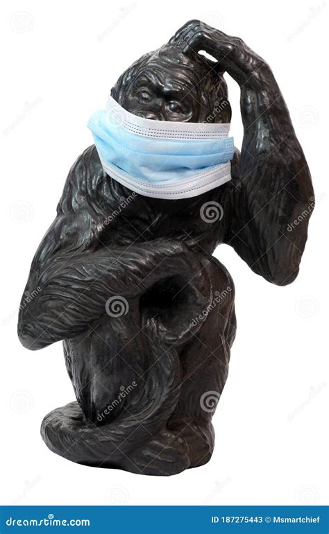 Chimpanzee Statue Wearing Surgical Mask Stock Image - Image of monkey ...