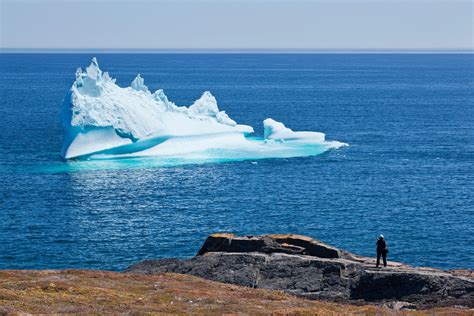 Where To See Icebergs In Newfoundland