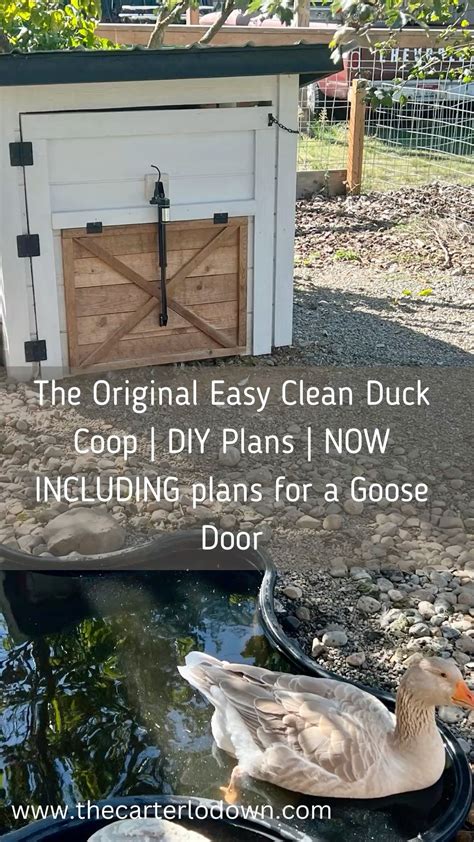 Easy Clean Duck Coop DIY Plans in 2025 | Duck coop, Backyard ducks ...