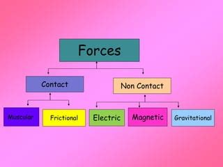 Force Types 的图像结果