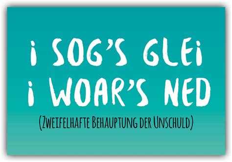 Kühlschrankmagnet I sog's glei i woar's ned - playa media e.U.