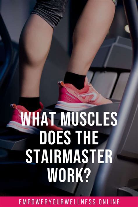 stairmaster workout muscles Android IOS V- 4.101