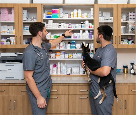 Montclair Animal Hospital & Vet Clinic in New Jersey | Bond Vet