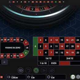 a screenshot of a video game