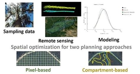 Using Spatial Optimization to Create Dynamic Harvest Blocks from LiDAR ...