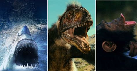 Science Channel Documentaries 的图像结果