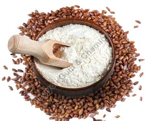 Cassia Tora Gum Powder Manufacturer & Exporter in India - Ashapura Protiens