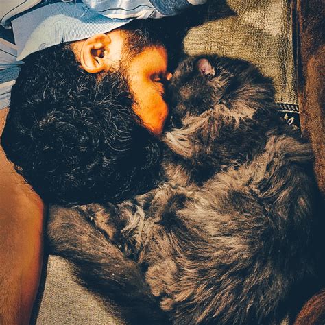 Bella&Bumsy💕😻💕🐾💕😻💕🐾💕😻💕 (@bella_bumsy) • Instagram photos and videos