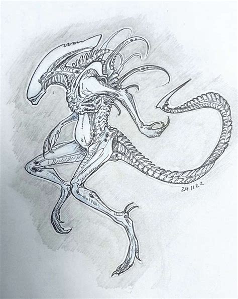 Xenomorph Drawing Tutorial 的图像结果