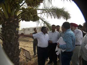 Review meeting on Date Palm at Mundra | ICAR