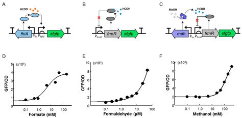 C1 Compound Biosensors: Design, Functional Study, and Applications