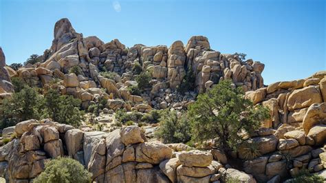 Hidden Valley Nature Trail in Joshua Tree National Park | 52 in 52 ...