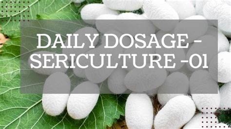 Daily Dosage - Sericulture oneliner - 01 ~ Agri Info