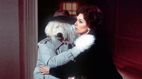 The Shaggy D.A. (1976) - AZ Movies