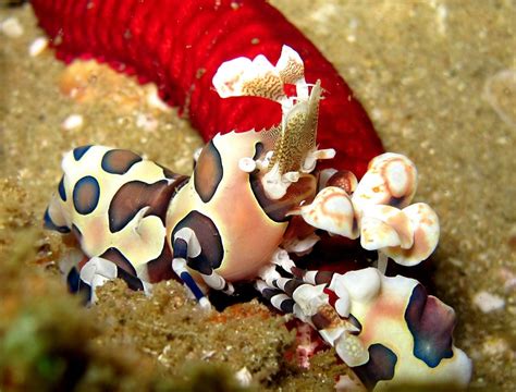 BARRA DIVE RESORT (2025) All You Need to Know BEFORE You Go (with ...