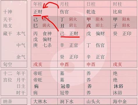 福建省普通高校招生考生志愿填报样表理工本科二批_图文Word模板下载_编号qvrernmz_熊猫办公