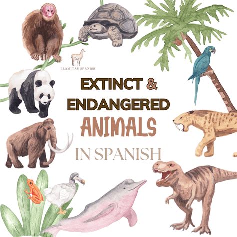 Spanish Lessons about Endangered and Extinct Animals - Llamitas Spanish.com