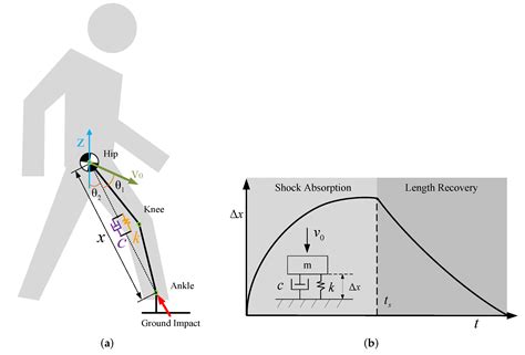 Trajectory Modulation for Impact Reducing of Lower-Limb Exoskeletons