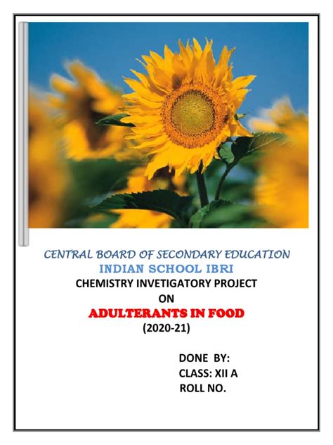 Image result for Sample Format for Project Work