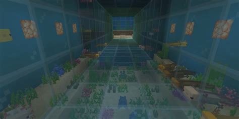 Image result for Minecraft Axolotl Farm Tutorial