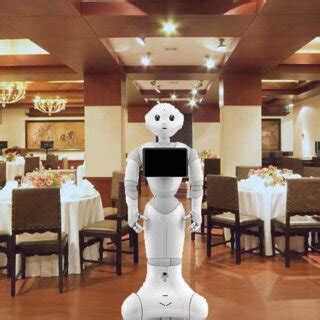 Service Robot 的图像结果