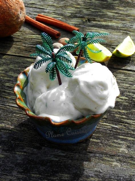 sorbet sans sucre sorbetière