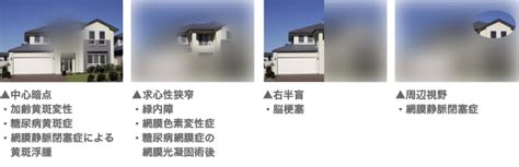 Image result for Operative Note Outline