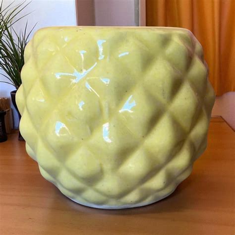 Buy Ceramic Planters – Handcrafted & Stylish | Plant Orbit